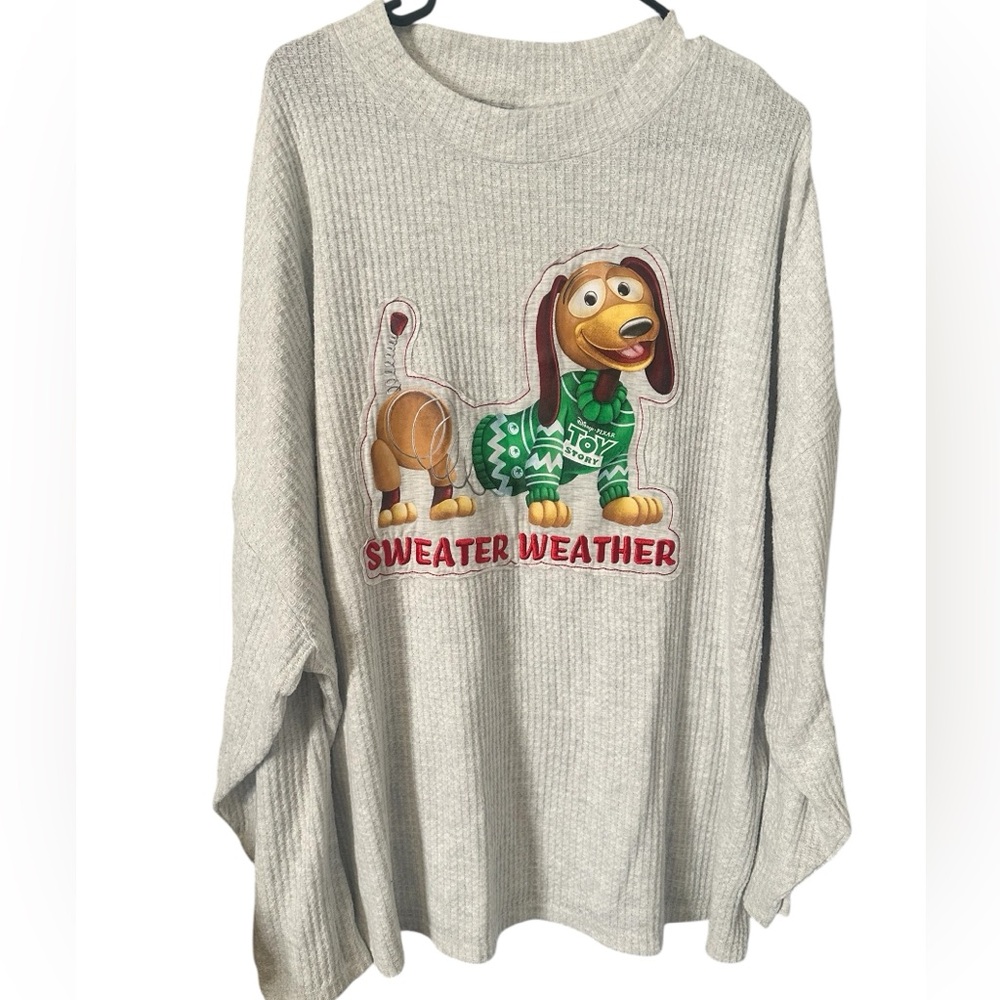 DISNEY PARKS THERMAL 2X